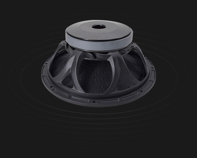 12'' 180mm Magnet 75mm Voice Coil Pro Speaker WOOFER Model X12751