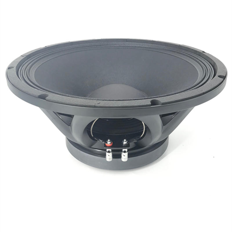 15'' 220mm Magnet 100mm Voice Coil Pro Speaker WOOFER Model X151001