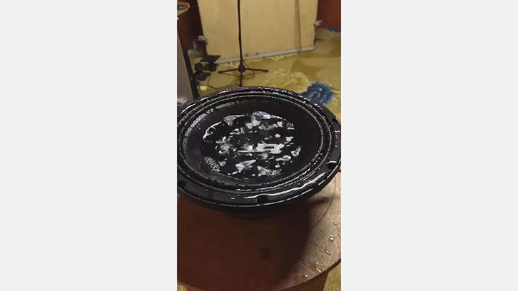 German Waterproof Paper Pot Test