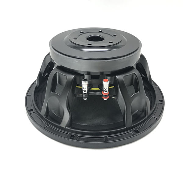 12'' 190mm Magnet 75mm Voice Coil Pro Speaker WOOFER Model H12751