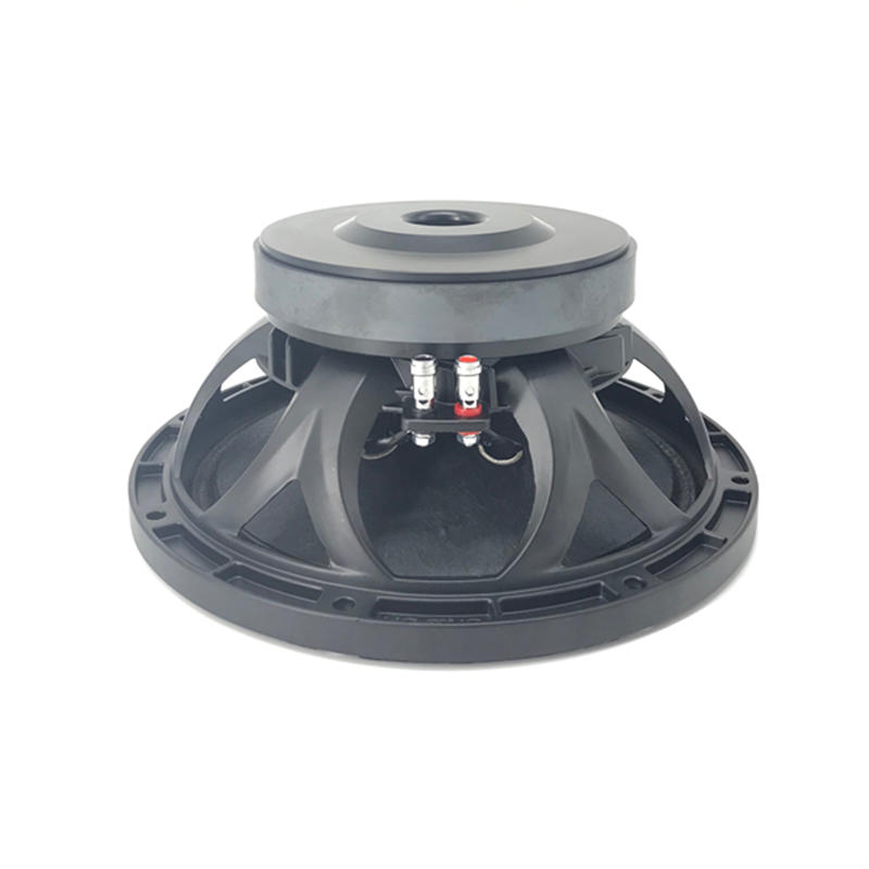 10'' 156mm Magnet 65mm Voice Coil Pro Speaker WOOFER Model X10651