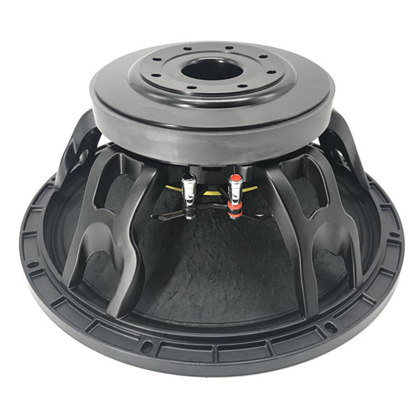 15'' 220mm Magnet 100mm Voice Coil Pro Speaker WOOFER Model H151001